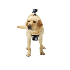 پایه دوربین گوپرو مدل Fetch Dog Harness