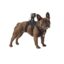 پایه دوربین گوپرو مدل Fetch Dog Harness