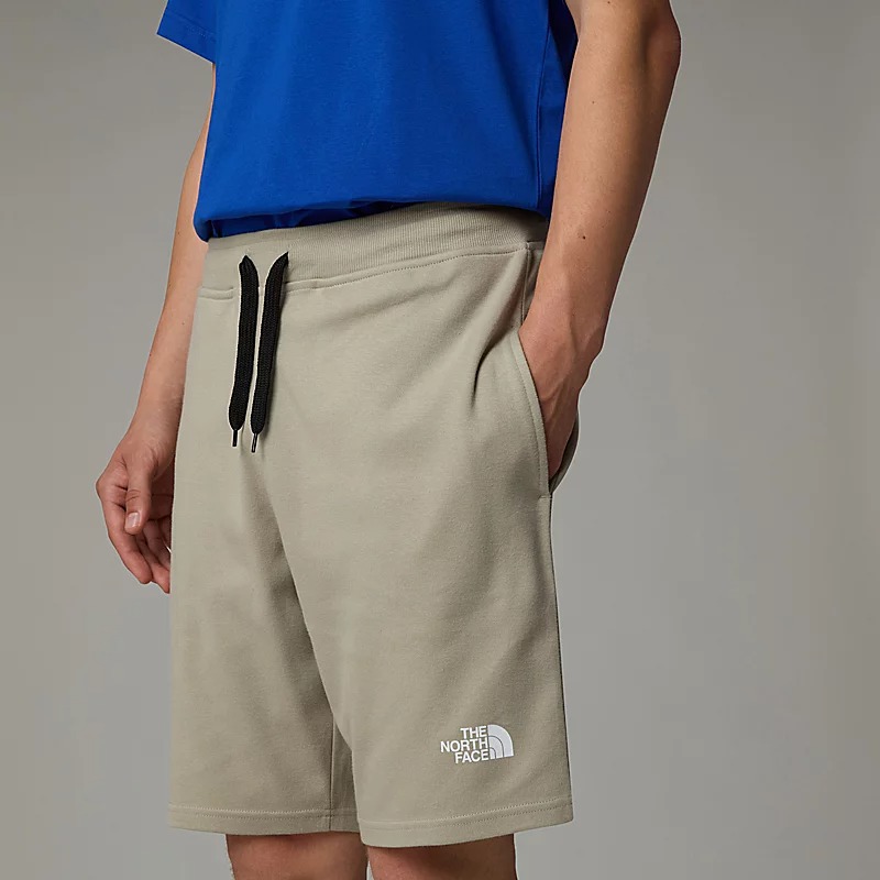 شلوارک مردانه نورث فیس مدل Men's Graphic Light Shorts