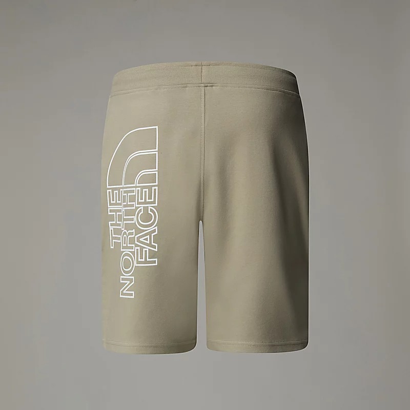 شلوارک مردانه نورث فیس مدل Men's Graphic Light Shorts