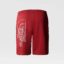 شلوارک مردانه نورث فیس مدل Men's Graphic Light Shorts