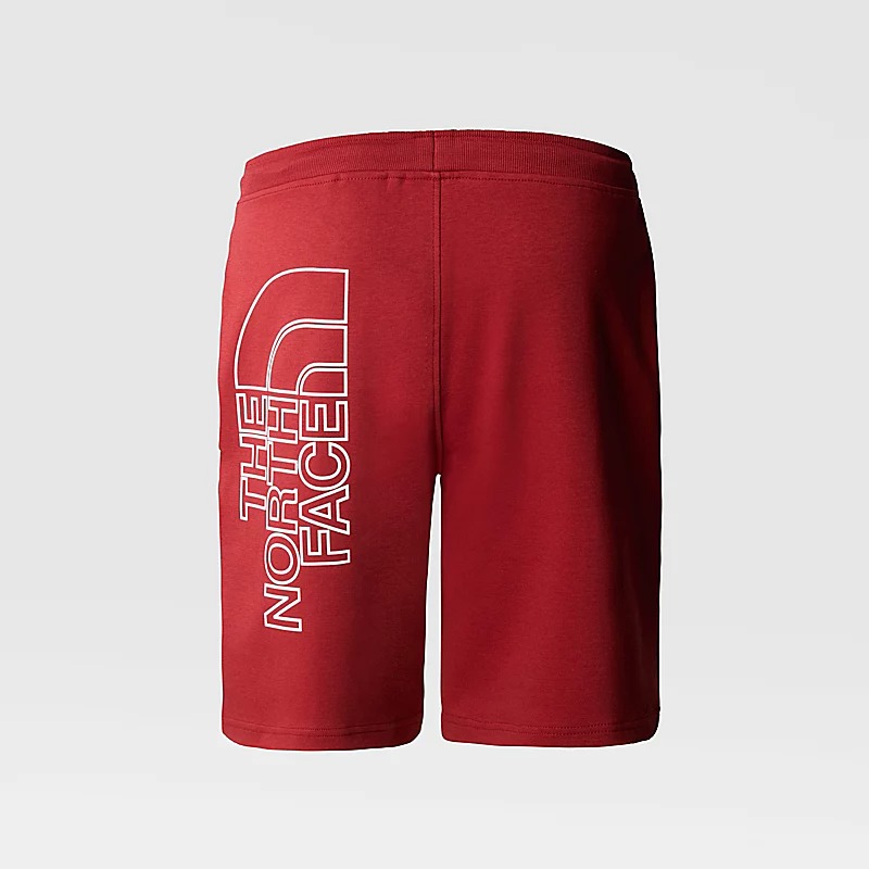 شلوارک مردانه نورث فیس مدل Men's Graphic Light Shorts