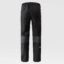 شلوار کوهستانی نورث فیس مدل Men's Jazzi GORE-TE Trousers