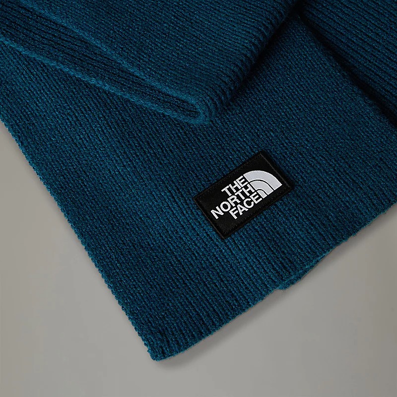 شال نورث فیس مدل TNF Logo Box Scarf