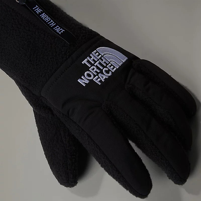 دستکش ورزشی نورث فیس مدل Denali Etip Gloves