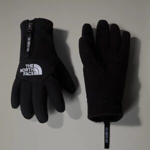 دستکش ورزشی نورث فیس مدل Denali Etip Gloves