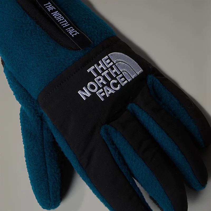 دستکش ورزشی نورث فیس مدل Denali Etip Gloves