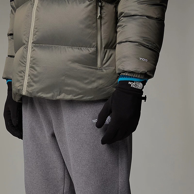 دستکش نورث فیس مدل TNF Rino Gloves