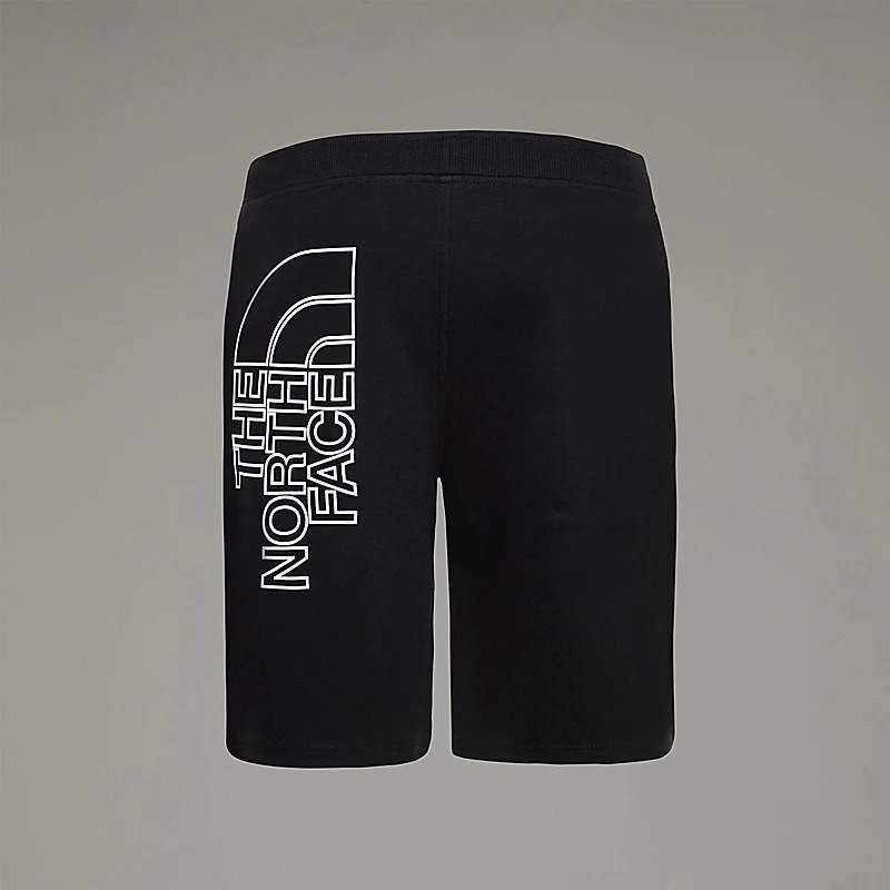 شلوارک مردانه نورث فیس مدل Men's Graphic Light Shorts