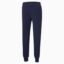 شلوار ورزشی مردانه پوما مدل Essentials Logo Sweatpants Men