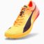 کفش دو و میدانی آبی پوما مدل evoSPEED Long Distance Nitro Elite+ Track