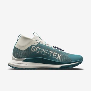 کفش ضدآب دویدن اسپرت آبی نایک مدل Pegasus Trail 4 GORE-TEX