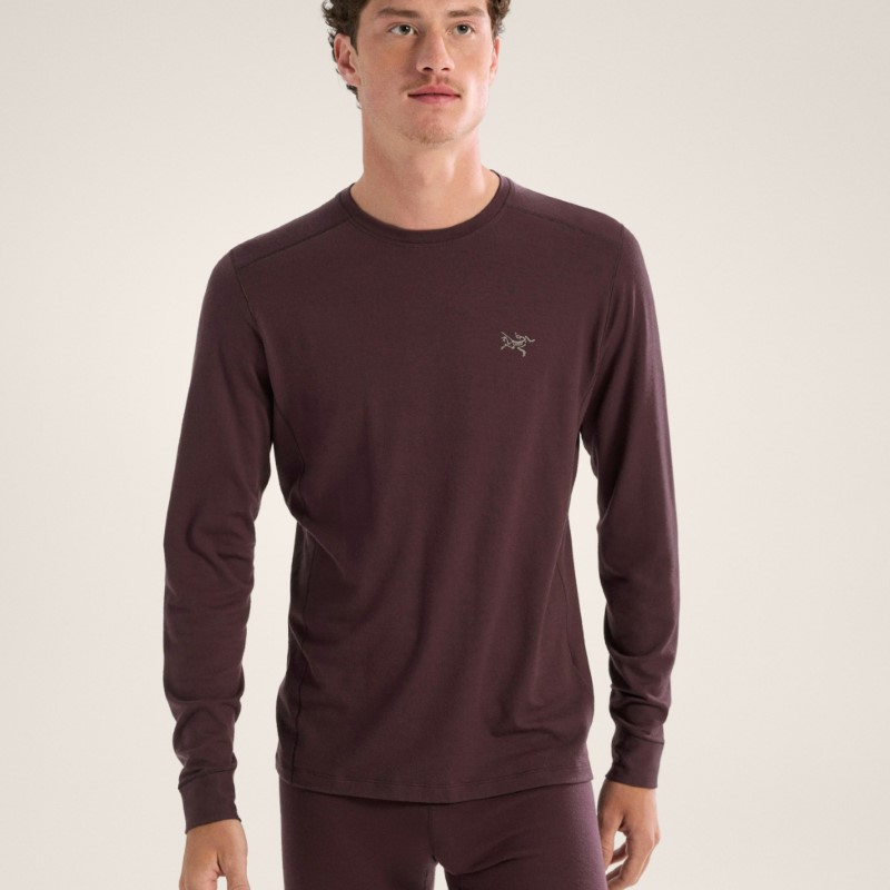 لباس مردانه آرکتریکس مدل Rho Merino Wool Crew Neck LS Men's