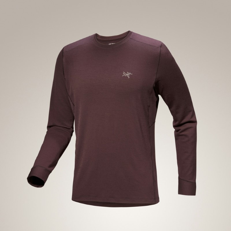 لباس مردانه آرکتریکس مدل Rho Merino Wool Crew Neck LS Men's