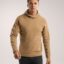 هودی مردانه آرکتریکس مدل Kyanite Pullover Hoody Men's